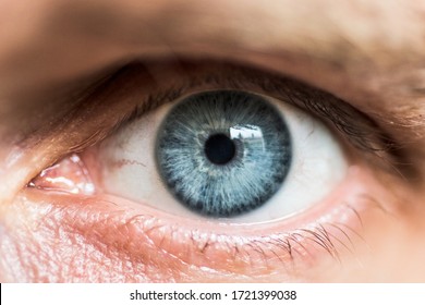 macro photo of an eye