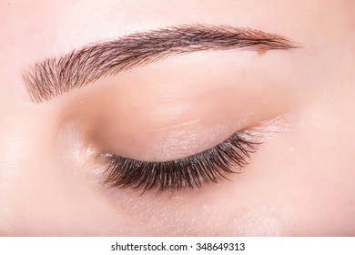 Macro photo of a female eye with make-up eyebrows and lashes .