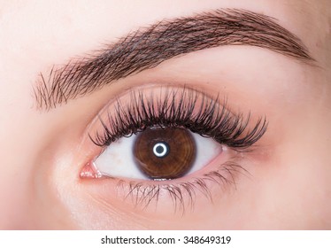 Macro photo of a female eye with make-up eyebrows and lashes .
