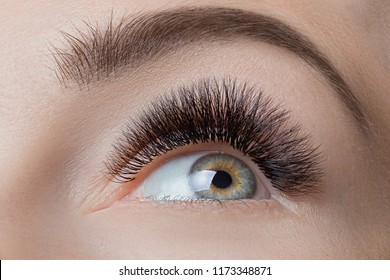 Extreme Eyelashes High Res Stock Images Shutterstock