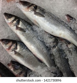 Macro Photo Food Fresh-frozen Sea Bass Marine Fish. Sea Fish Background Texture Sea Bass. Image Of Seafood Fresh Sea Bass Fish Lying On Ice