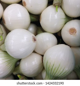 Macro Photo food vegetable white onion. Texture background fruit vegetable white onion. Image of vegetable onion