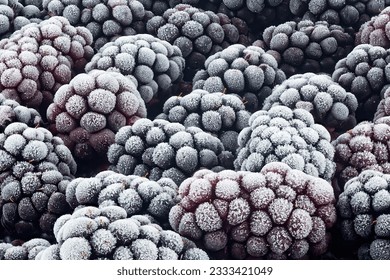 Macro photo of frozen blackberries as background. Blackberries covered by hoarfrost.
