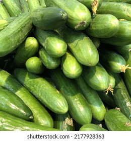 Macro photo green fresh cucumbers. Stock photo green cucumber vegetable background