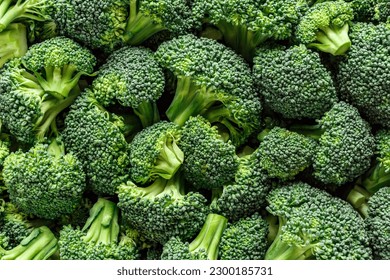 Macro photo green fresh vegetable broccoli. Fresh green broccoli on a black stone table.Broccoli vegetable is full of vitamin.Vegetables for diet and healthy eating.Organic food. - Shutterstock ID 2300185731