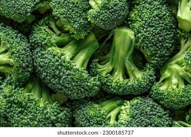 Macro photo green fresh vegetable broccoli. Fresh green broccoli on a black stone table.Broccoli vegetable is full of vitamin.Vegetables for diet and healthy eating.Organic food. - Shutterstock ID 2300185737