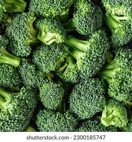 Macro photo green fresh vegetable broccoli. Fresh green broccoli on a black stone table.Broccoli vegetable is full of vitamin.Vegetables for diet and healthy eating.Organic food. - Shutterstock ID 2300185747