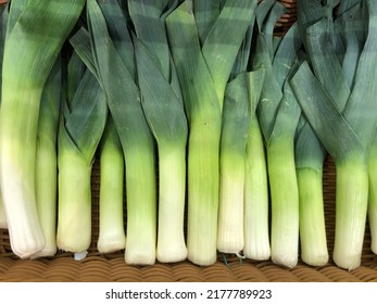 Macro photo green onion leek. Stock photo lettuce vegetable background