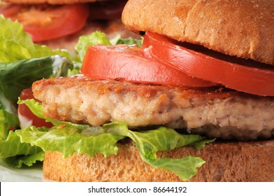 Macro Photo Of A Grilled Chicken Or Turkey Burger