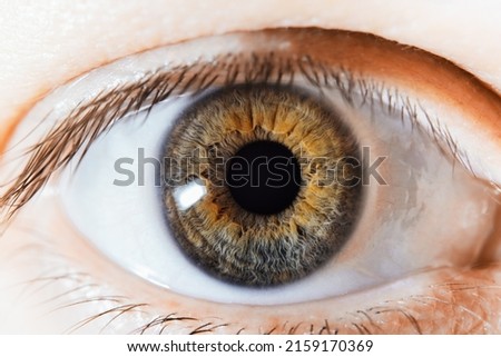 Macro photo of human eye looking. close-up detail of green eye. Health concept in visual center. good vision and problems with eyes