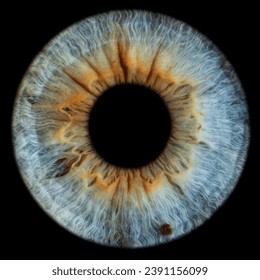 Macro photo of the iris with different shades of colors and textures