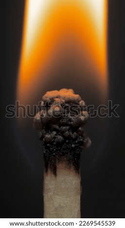 Similar – Image, Stock Photo candlelight Candle Light