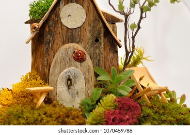 Macro Photo of a miniature handmade landscape a fairy house with an immense tree and ladybugs, herbs, succulents, moss, flowers, wood of the forest, are the elements that form this terrarium