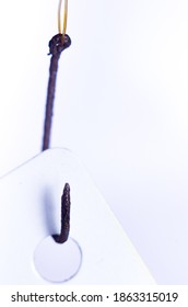 Macro Photo Of Rusty Fishing Hook Attached To White Card. Concept Of Phishing Attempt By A Hacker.