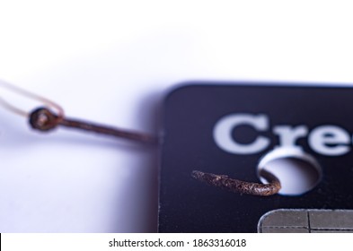 Macro Photo Of Rusty Fishing Hook Attached To Credit Card. Concept Of Phishing Attempt By A Hacker.