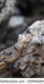 Macro Photo Of A Silicon Rock On A Rocky Mediterranean Coast