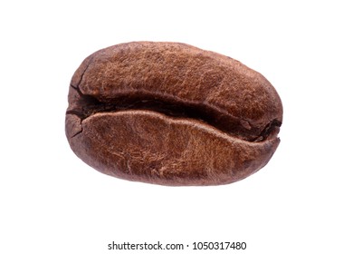Macro Photo of a single coffee grain isolated on a white background