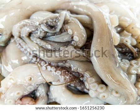 Macro photo of slimy raw octopus tentacles
