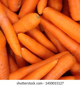Macro Photo spring food vegetable carrot. Texture background of fresh large orange carrots. Product Image Vegetable Root Carrot