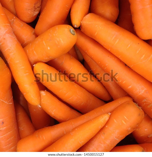 Macro Photo spring food vegetable carrot. Texture\
background of fresh large orange carrots. Product Image Vegetable\
Root Carrot