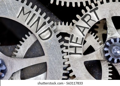 Macro Photo Of Tooth Wheel Mechanism With Imprinted MIND, HEART Concept Words