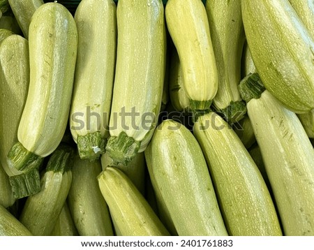 Macro photo vegetable green fresh zucchini. Stock photo fresh organic zucchini market background