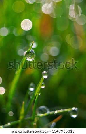 Similar – Foto Bild Wenn die Erde weint Gras