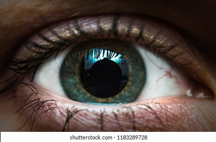 Macro Photo Of A Wide-open One Human Eye, Eyeball With Dilated Pupil And Reflection On Its Surface, Gray Eye Color, Painted And Mascara Eyeliner, Fluffy Eyelashes, Women's Cosmetics, Self-care
