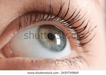 Similar – My look Eyelash Pupil