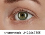 Macro photo of woman with beautiful green eyes