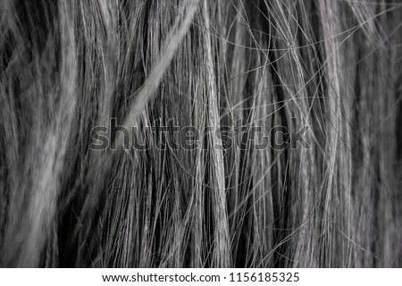 Macro photo of women dark hairs