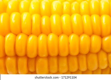 Macro Photo Of Yellow Corn Background, Healthy And Tasty Food