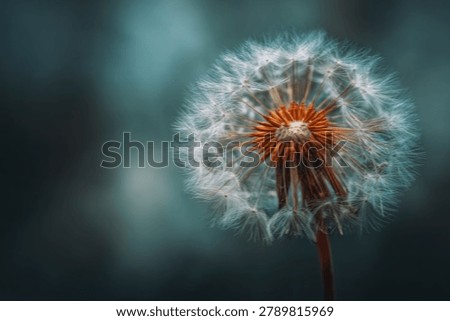 A macro photograph captures the delicate structure of a dandelion seed head, showcasing its fluffy seeds and central core against a blurred background.