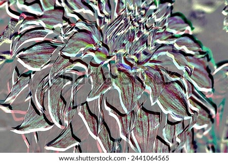 macro photograph of dahlia blossom manipulated with creative filter for impressionistic design