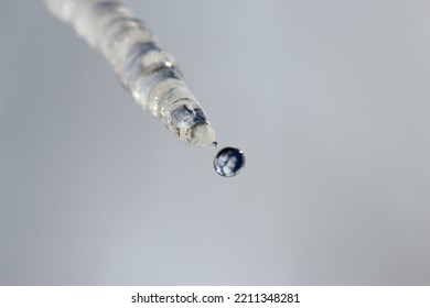 A Macro Photograph Of An Icicle With A Water Drop Melting Off. 