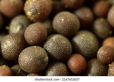 Macro Photograph Of Mustard Seeds, India.