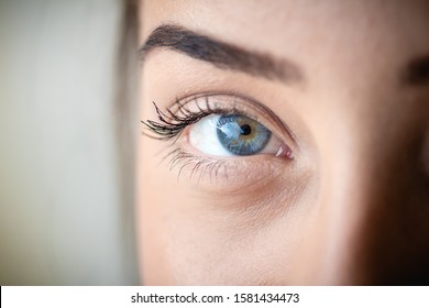 
Macro Photograph Of A Young Woman's Eye ( Olho Azul De Uma Mulher Em Fotografia Macro ).