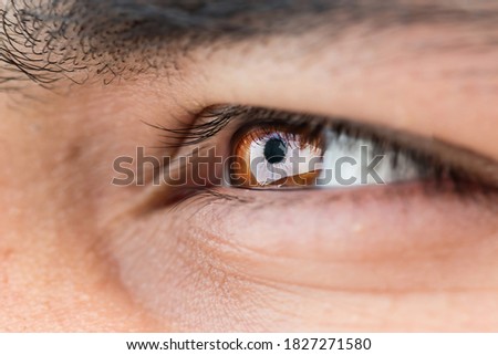 macro photography, close up photo,  of a brown colored eye  and eye lashes and eyebrown with shallow depth of field which means that only small portion of the image is in focus