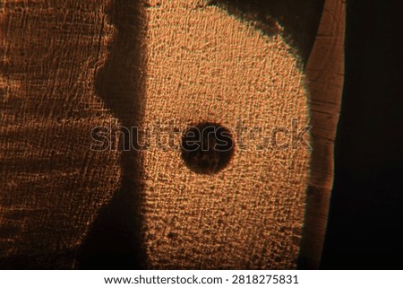 Macro photography demonstrating the physics of light in the uneven glass of a beer mug containing an air bubble, backlit by the setting sun, showing refraction of light in glass, chromatic aberration, and dispersion.