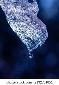 Macro Photography: A Drop Of Water Falling From The Tip Of An Icicle That's Slowly Melting In The Spring Sun