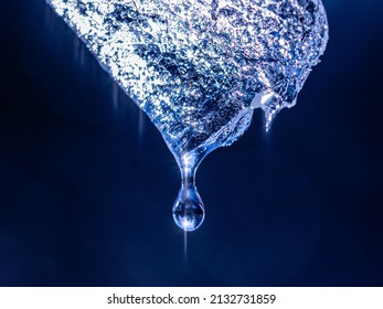 Macro Photography: A Drop Of Water Falling From The Tip Of An Icicle That's Slowly Melting In The Spring Sun