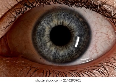 Macro photography of eye anatomy