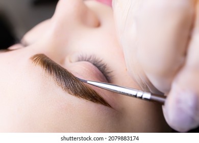 macro photography of eyebrow hairs, on which paint is applied with a brush for coloring after the procedure of long-term styling and lamination of eyebrows - Shutterstock ID 2079883174