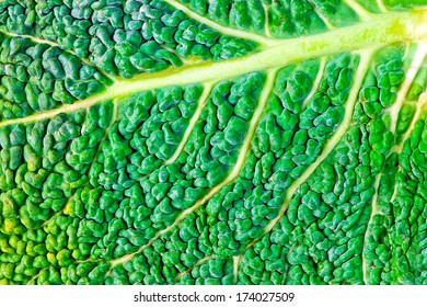 Macro Photography Of Green Kale Leaf Surface