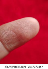 Macro Photography Of Human Fingerprint. Close Up Image Of Human Fingertip 