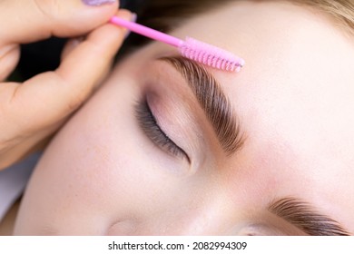macro photography of the model's hairs the master combs the eyebrow hairs with a pink brush after the procedure long-term styling and lamination - Shutterstock ID 2082994309