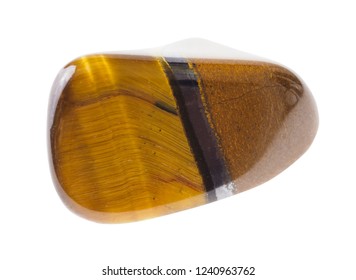 macro photography of natural mineral from geological collection - tumbled tiger's eye (tiger-eye) gemstone on white background