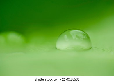 Macro Photography Oif Dew Drop On Blurred Green Leaf