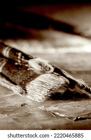 Macro Photography Of Paint Brushes Canvases