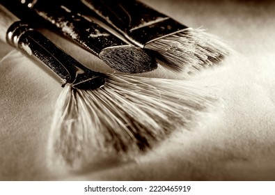 Macro Photography Of Paint Brushes Canvases